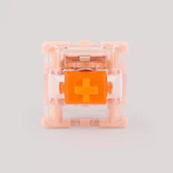 Tecsee Coral Tactile Switches