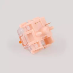 Tecsee Coral Tactile Switches