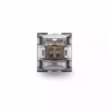 TTC Silent Brown V2 Pro Switches