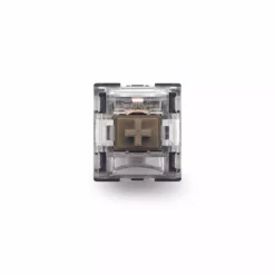 TTC Silent Brown V2 Pro Switches