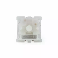 Shop Gateron Baby Racoon Linear Switches