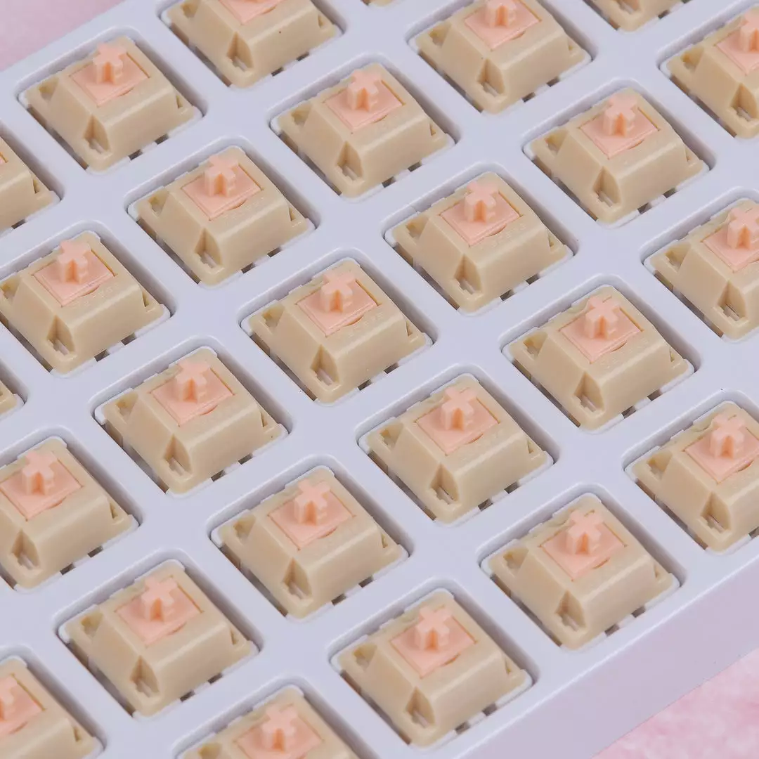 Discount π Tecsee Shop KBDfans Hamster Linear Switch π₯ 8 Tecsee Shop KBDfans Hamster Linear Switch