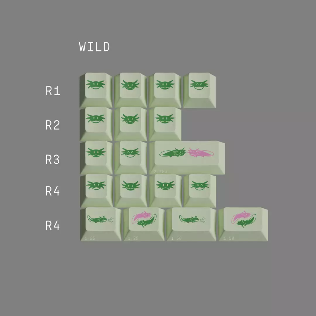 Best reviews of 🌟 EPBT Axolotls Shop 🛒 10 EPBT Axolotls Shop